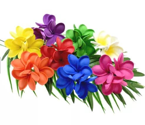 Beautiful colorful flowers of your choice to choose