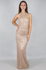 Zhaelle Sequin Netting Column Maxi Dress