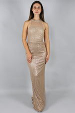 Zhaelle Sequin Netting Column Maxi Dress