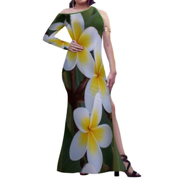 Beautiful lady dress for Pre-Order