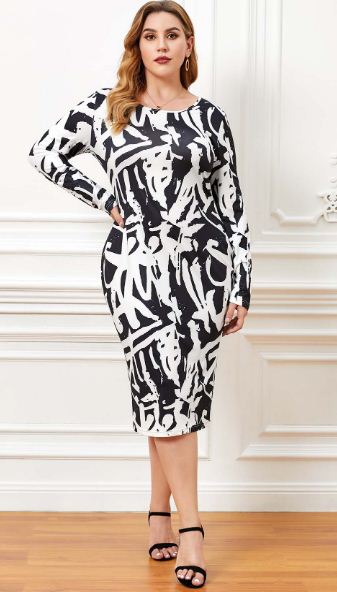 Printed Round Neck Long Sleeve Dress