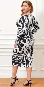 Printed Round Neck Long Sleeve Dress