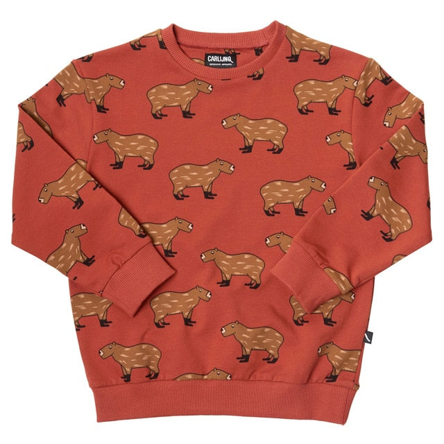 Kids Sweaters 2019 CarlijnQ Brand New