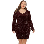 Long Sleeves V Neck Sequin Dress