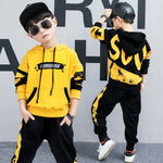 Toddler Boys Clothing Set Tracksuit Children