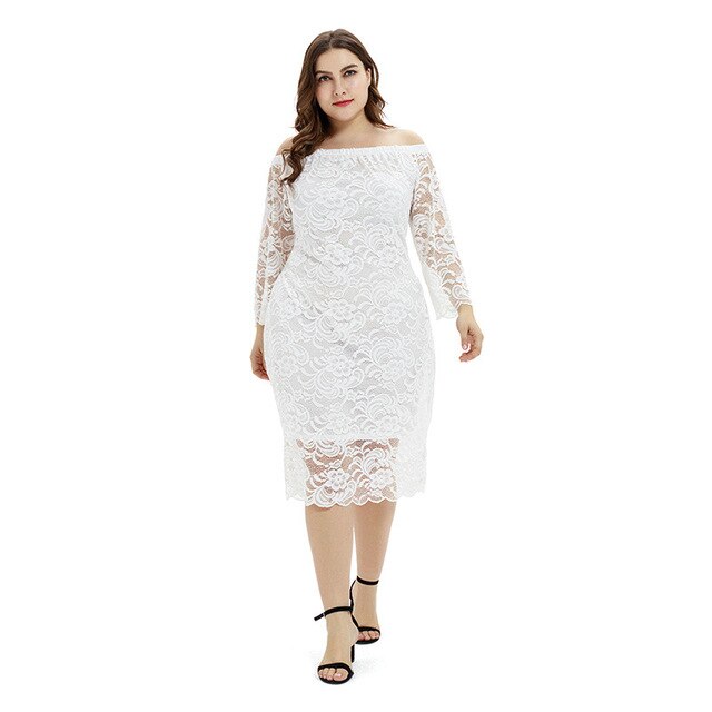 New 2020 spring autumn plus size lace dress for women