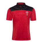 2020 Welsh Home Men's Rugby